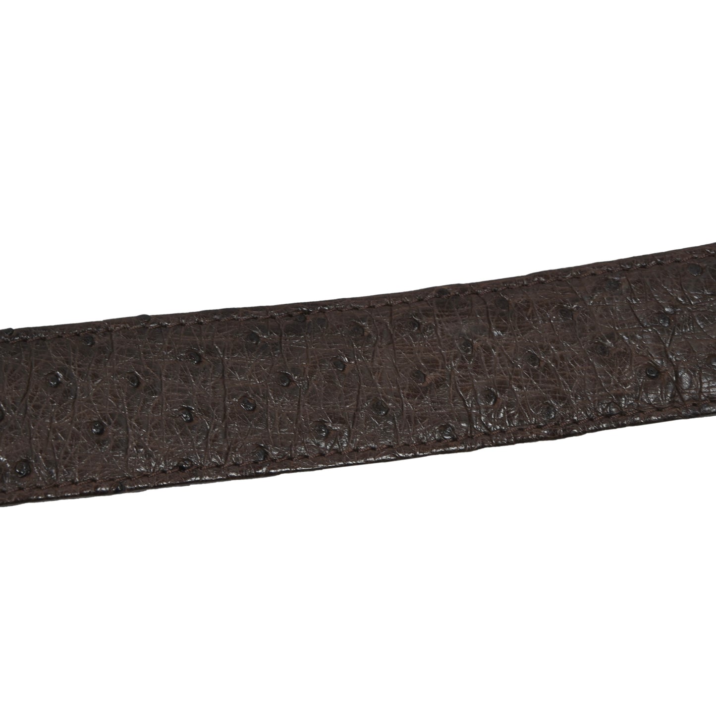 Gürtel aus echtem Straußenleder ca. 113,5 cm - Braun