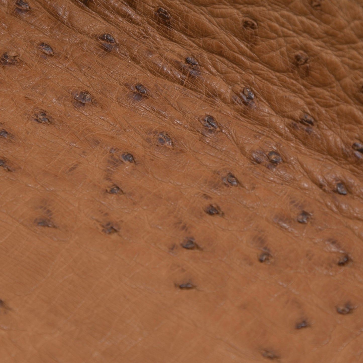 Ostrich Leather Dresser Valet/Tray - Tan