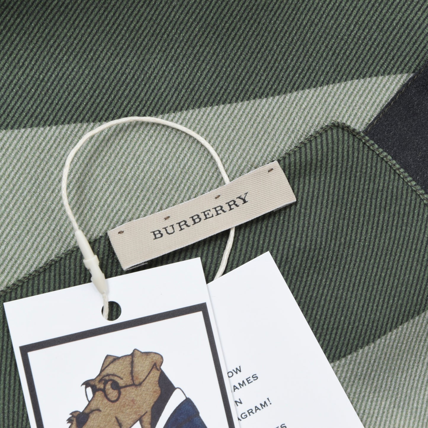 Burberry Novacheck Scarf ca. 192cm - Green