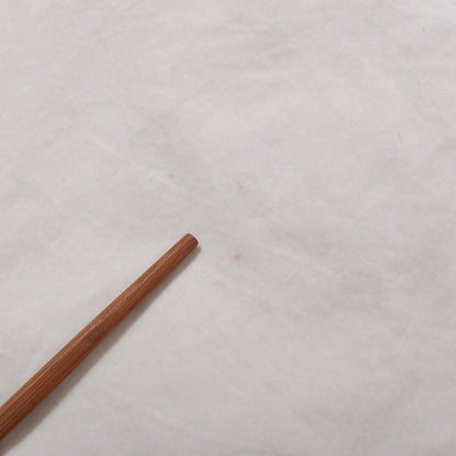 Stone Island SS2013 Cotton Shorts Size XW31