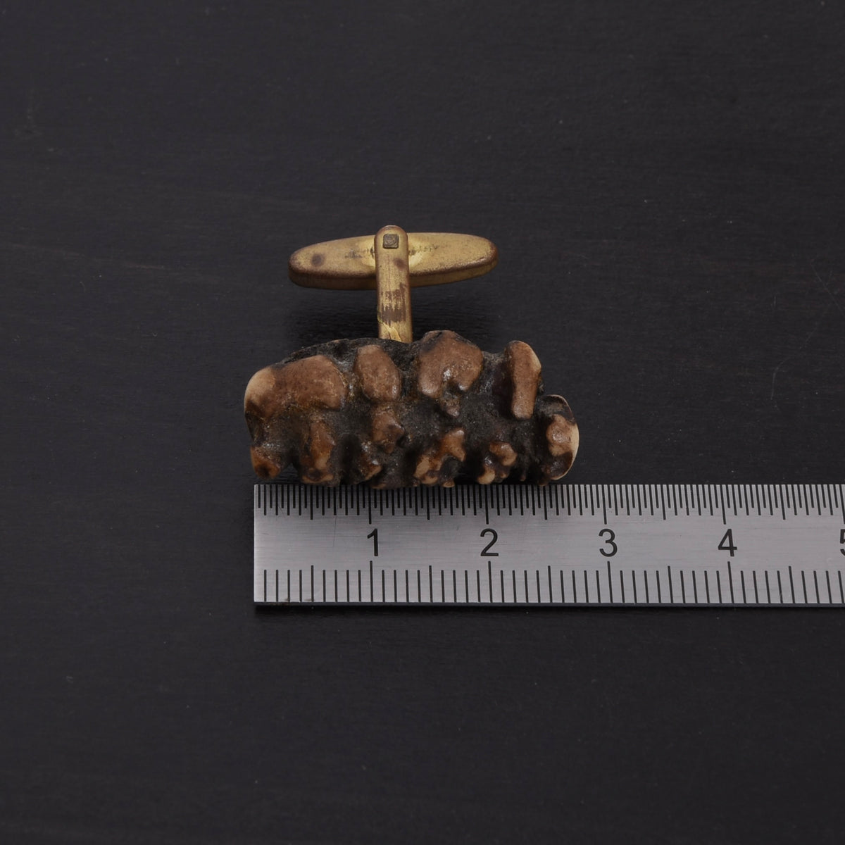 Vintage Deer Antler Cufflinks