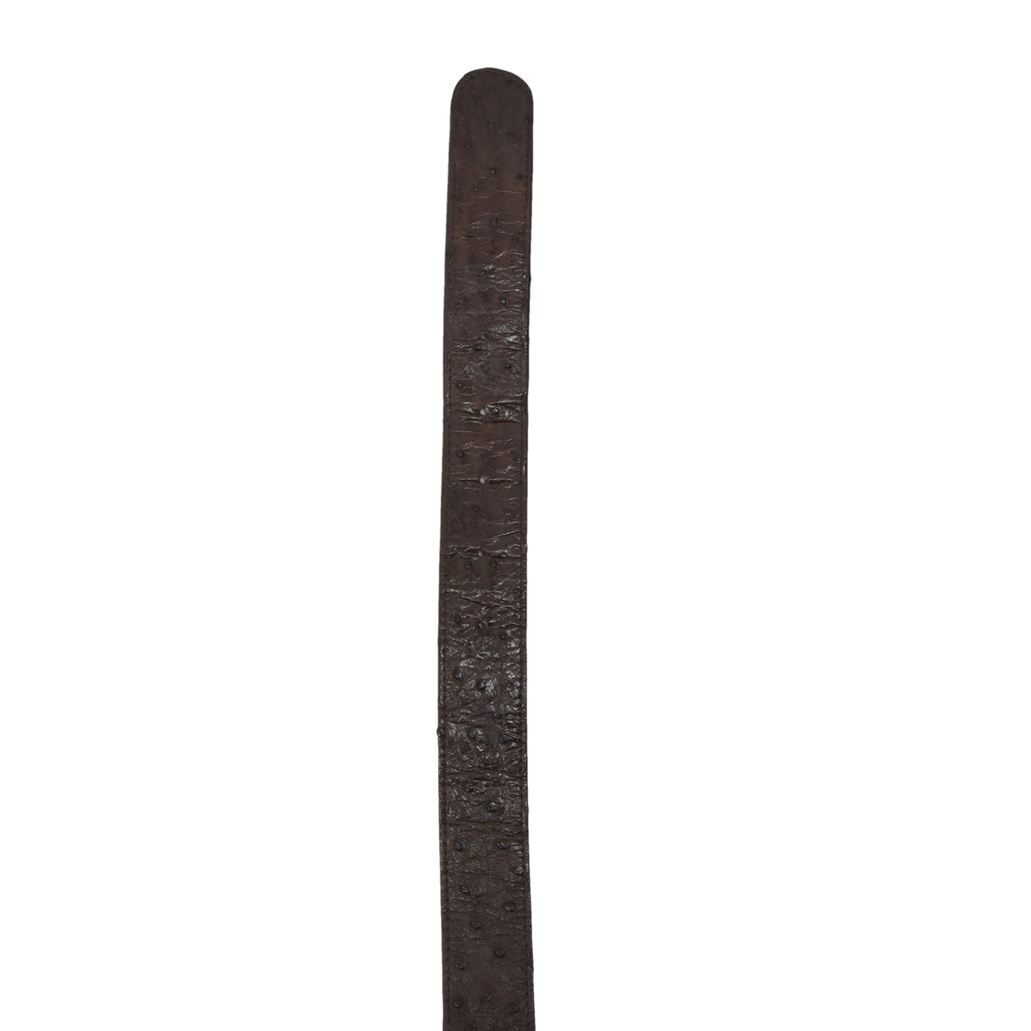 Gürtel aus echtem Straußenleder ca. 113,5 cm - Braun